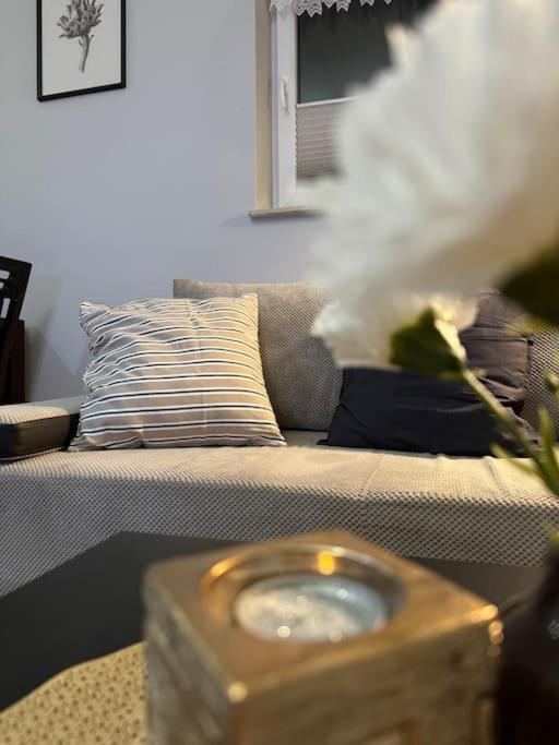 Danka 6Th Floor Chic Apartment クラクフ エクステリア 写真